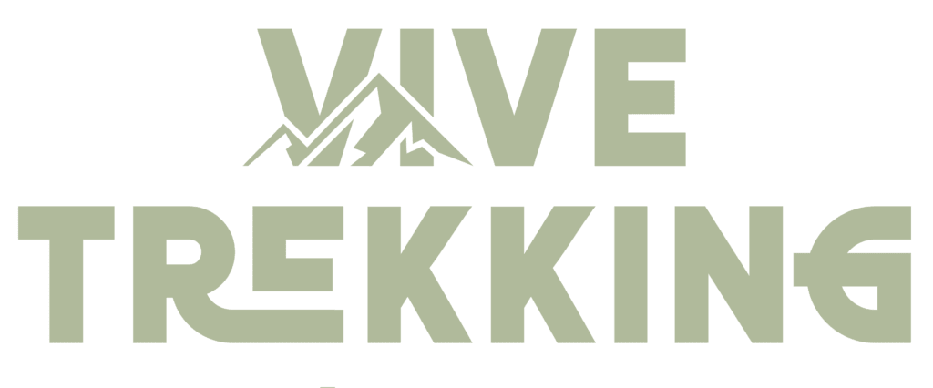 Vive Trekking